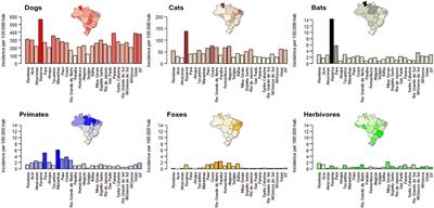 Using Surveillance of Animal Bite Patients to Decipher Potential Risks of Rabies Exposure From Domestic Animals and Wildlife in Brazil